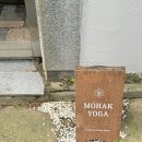 모하끄MOHAK요가