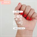 비전5로 | 평택 소사벌 네일 늘네일 후기 젤네일 3만원 가성비 센트럴돔 위치 솔직 내돈내산 방문기