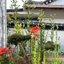 오대민박 이미지