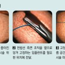 만성시원마취통증의학과의원 이미지