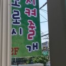 도로시지켜줄개 이미지