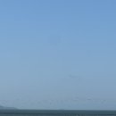 휴 관광펜션 | 대연휴맞이🎈 태안여행 3일차 (밧개해수욕장/바노펜션/바람아래관광농원/태안미로공원/멜로우데이즈)