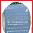 대보자원 | 강원도 평창 발왕산 정상 케이블카 타고 오르다.(2024.10.25.)