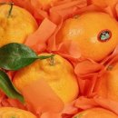 예성농장 이미지