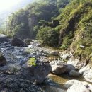 대불리목장 이미지