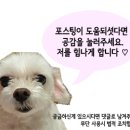 Min nail(민네일)