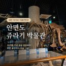 남면어린이집 | 아이와 가볼만한곳] 안면도 쥬라기 박물관 솔직후기! 36개월 무료 증빙 꿀팁부터 추천 동선까지 (6살, 3살)