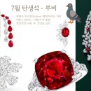 루비 - 서산시 | 루비