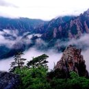 청산 Daum카페
