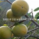 모란농장 이미지