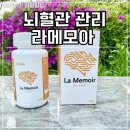라메모아 후기 일본 두뇌 건강 관리 뇌혈관 기억력 집중력 영양제 솔직 리뷰