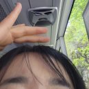 안젤리카헤어 | 실크테라피 쓰다 정착한 AZH 헤어에센스 +차홍 볼륨 픽서 찐후기후기