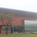 제주의 한란 이미지