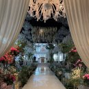 동덕카서비스 | [본식] 더파티움여의도 파티움홀 본식후기