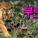 통합리듬댄스 이미지