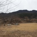 개나리낚시공원 이미지