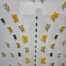 해오름전시실 이미지