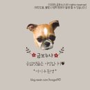 밤새먹소 안산시청점 이미지