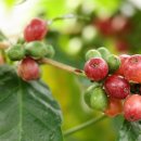 도동농장 이미지