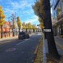 회성동129 이미지