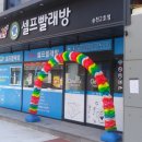 크린업24송천