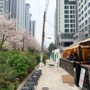 2호선 중동역 공영주차장 | 부산 해운대고기집추천 중동역맛집 벚꽃야장 해운대 마당집