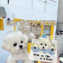 앞산강아지 | 대구 앞산 강아지 케이크 추천, 댕수무강에서 대한이 케이크 주문 후기