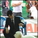 유어펫 라운지 강아지분양 이미지