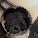 마전주유소 이미지