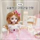 요술상자 | 4살 여아 선물 추천 요술책상 구체관절 인형놀이 내돈내산 후기