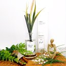 Rush(러쉬) | 실내디퓨저 추천 Orbe 오르브 봄이랑 잘 어울리는 프루티 플라워 Rush 러쉬향 사용후기