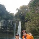 천지연 폭포 이미지