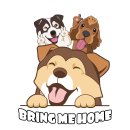 [이동봉사] 9월 29일(일요일) 팅커벨 중대형견 아이들 '브링미홈 Bring me home'입주를 위한 이동봉사 신청 받습니다. 이미지