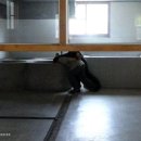 518 자유공원 이미지