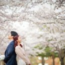 소담스튜디오 이미지