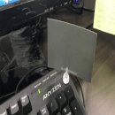 초이스퀸 이미지