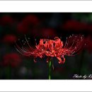 신구대학교 이미지