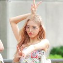 옐로우브릭스