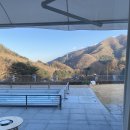 우다다애견 이미지