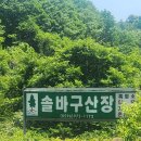 솔바구산장
