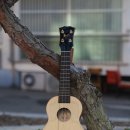 (초보자를 위한) 우쿨렐레 | 초보자를 위한 필독! 우쿨렐레 줄 32종 소리 비교 분석