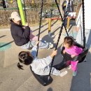 영진어린이공원 이미지