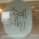 첫눈속눈썹&네일 | [답십리]네일 유목민 정착하는 답십리네일 페디 속눈썹 <소예네일>에서 페디 시술 후기