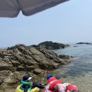 울진 거일1리어촌체험마을 | 울진여행 :: 거일1리어촌체험마을회관