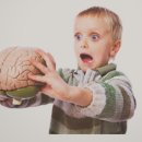 어린이의 뇌에 독성 것으로 알려진 화학 물질의 수는 지난 7 년 동안 두 배로 이미지