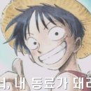 원탑플러스