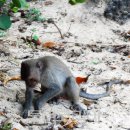 발리(BALI) 이미지