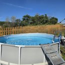 도그팰리스 이미지