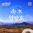 푸른강원