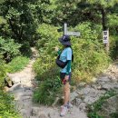 천보체육회 이미지